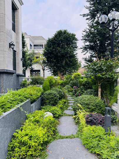 ອອກແບບ ແລະ ກໍ່ສ້າງນ້ຳຕົກ