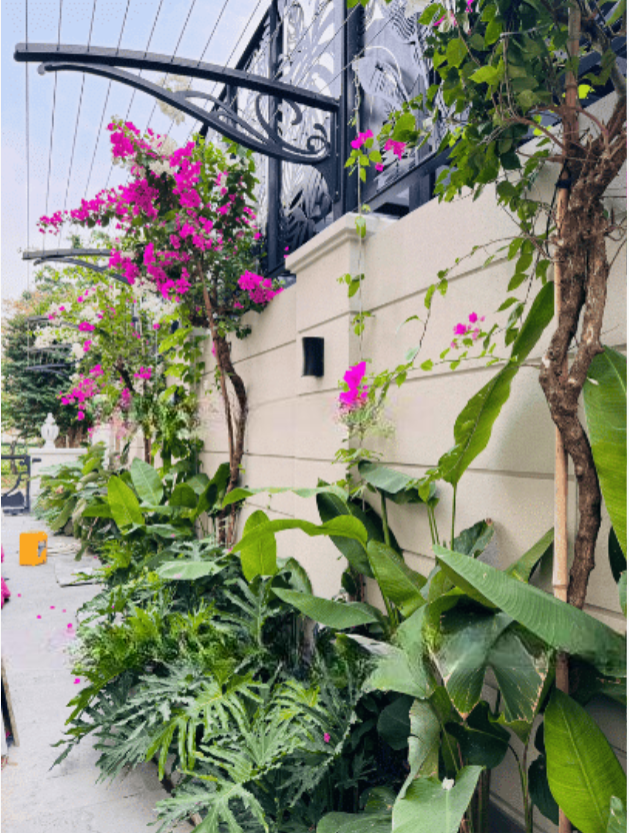 ອອກແບບ ແລະ ກໍ່ສ້າງຕົວຢ່າງພູມສັນຖານ